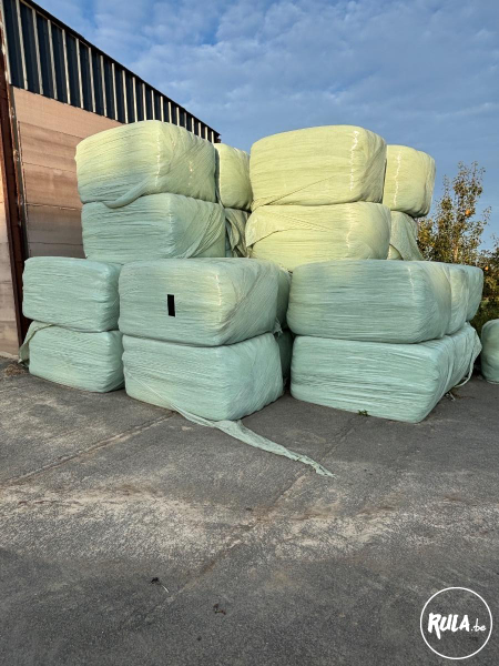 - Autre - Méteil fourrager avec poids 