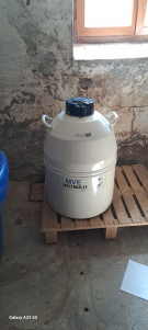    Cuve insémination 