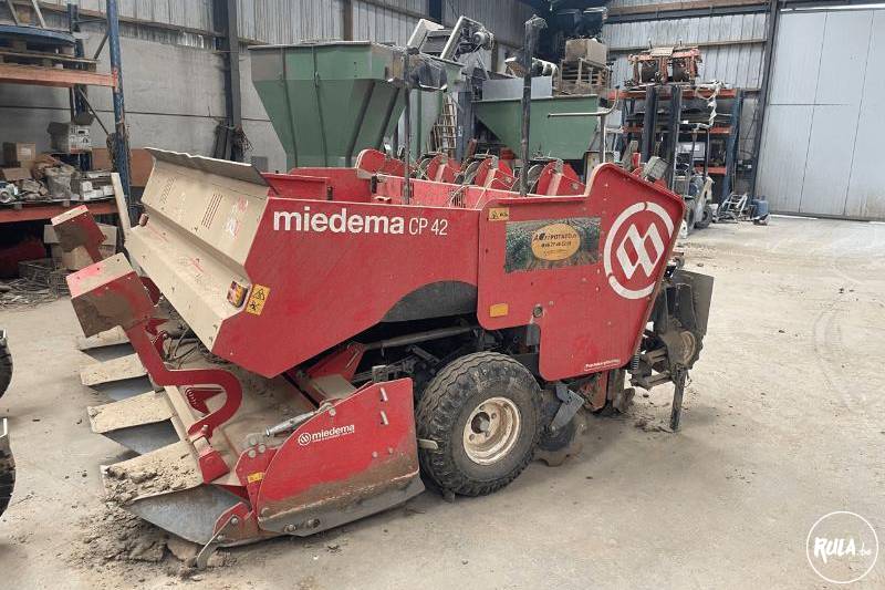 miedema, CP42