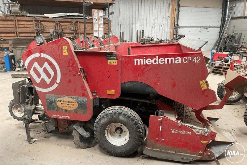 miedema, CP42