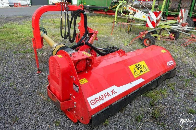 maschio, GRIRAFFA