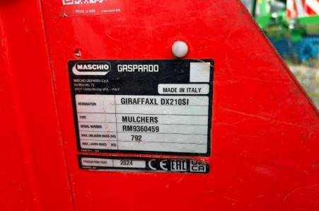 maschio, GRIRAFFA
