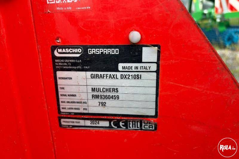 maschio, GRIRAFFA